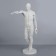 Gypsum figure is anatomical: Gudon, 73.5 cm
