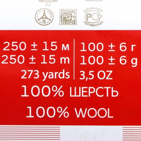 Yarn "village" 100% wool 250m/100g (591 lagun)-1