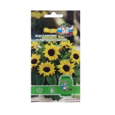 Seeds flower sunflower 