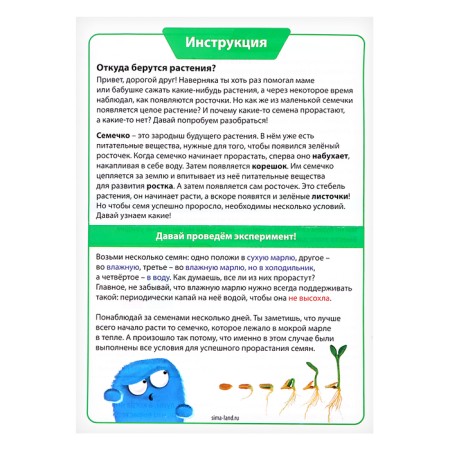 Ecofroma experiments set, with your own hands-20