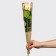Package for flowers "The most beautiful", beige, 12 x 4 x 44.5cm