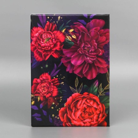 DOCS document folder, 8 A4 files-5