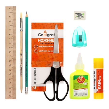 A4 labor folder, PVC textiles, with handles, folding, on Velcro, with a filling of 10 items, calligrata, PTR-10, "pencils"-9