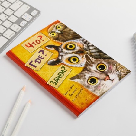 Diary "What? Where? Why?", A5, 80 sheets-2