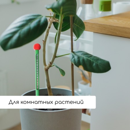 Термометр для измерения температуры почвы и воды, Greengo-3