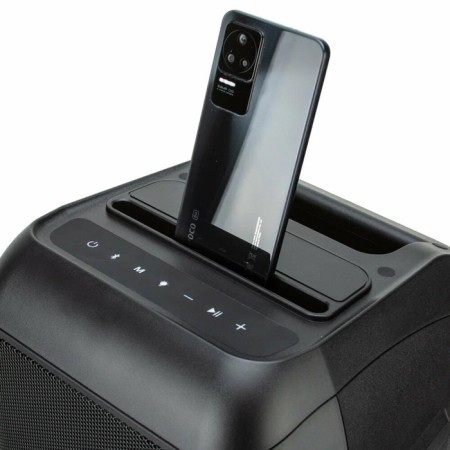 Column 06 "(20-98 Crazy Box 1200) Dynamics 2pcs/6.5" Eltronic with TWS-4