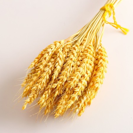 Set of dried flowers "wheat", banch 35-40 pcs, length 60-65 (+/- 6 cm), yellow-2