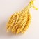Set of dried flowers "wheat", banch 35-40 pcs, length 60-65 (+/- 6 cm), yellow