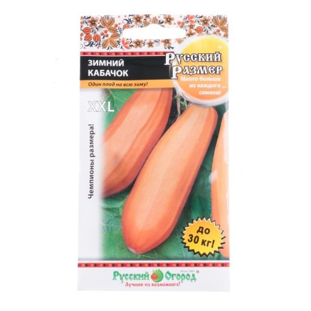 Semen zucchini "winter", 5 pcs.-2