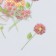 Set of stickers "Flowers. Fasty pink" 30 pcs 8.5x11 cm