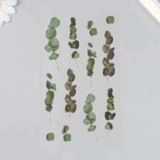 Stickers for creativity plastic 
