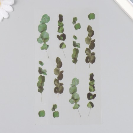 Stickers for creativity plastic "Eucalypt" 21x10.5 cm