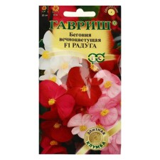 Bogonia flowers 