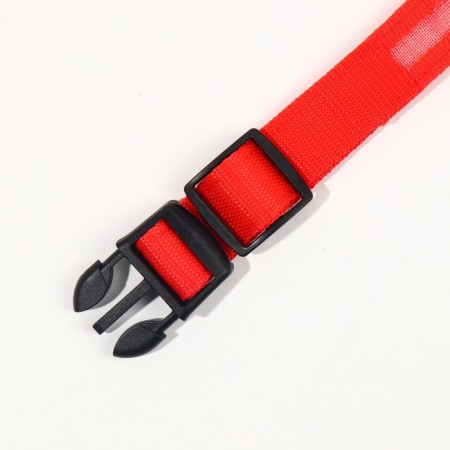 Collar with backlight size S, Osh 35-43 x 2.5 cm, 3 glow modes red-7