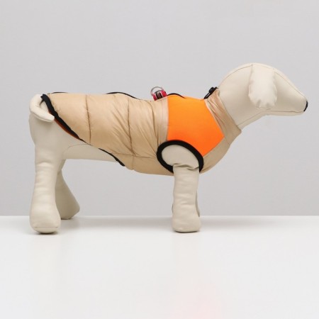 Lightning dog jacket, size 18 (ds 40 cm, fire 50 cm, ok 38 cm), beige with orange-2