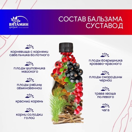 Бальзам Алтайские травы Суставод, 250 мл.-1