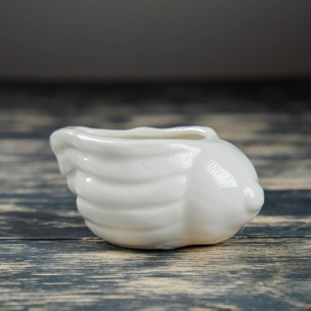 Set of Kashpo "Shell" 6pcs, 8x6x8cm, White-8