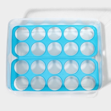 Egg storage container, 20 cells, 27.5 × 22 × 7 cm, color mix-2