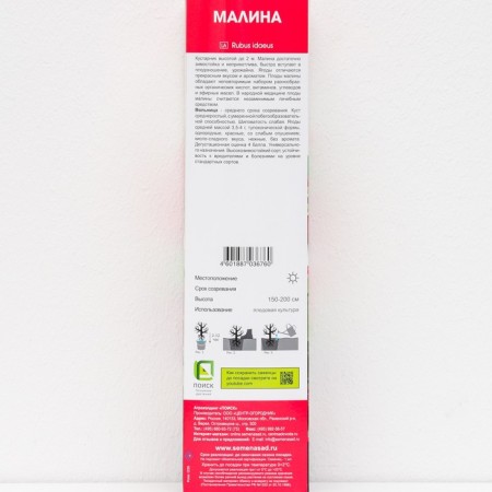 Raspberry traditional varieties "Volnitsa", 1 pc, tube, spring 2025-2