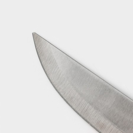 Knife Knot Dolyana "Tricolor", blade 23 cm-2