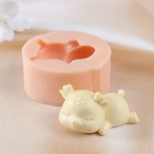 Silicone Mold 