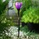 Garden lamp on the solar battery "Violet Tulip", 4.5 × 29 × 4.5 cm, 1 LED, glow white