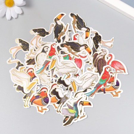 Stickers for creativity "Exotic birds" embossing gold set 48 pcs 9x7x0.8 cm-2