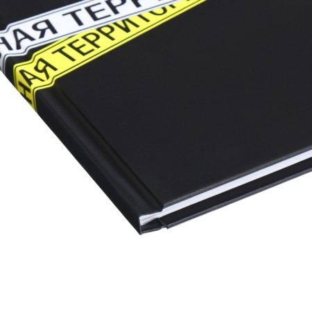 Universal diary for grades 1-11, 48 sheets "Private Territory", hard cover, matte lamination-2