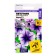 Flowers of Petunia "Nora", stunted, multi -flowered, seed. ALT, c/n, 10 pcs