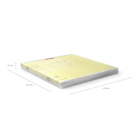 Notebook 12 sheets in the slanting ruler, Erichkrause Visio "Classic", cover coated cardboard, offset block, yellow-9