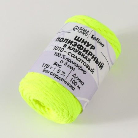 Cord flat 3 mm polyester in balls 100m/170g (+/- 5%) Salad-1010-1