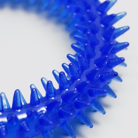Dog toy "Ring with spikes", 12.5 cm, transparent, blue-1
