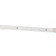 Ecola StD 5 m, IP20, SMD3528, 60 LED/m, 4.8 W/m, 12 V, 6000K