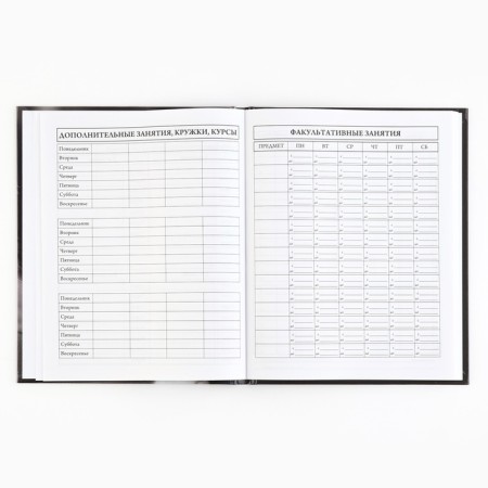 School diary 5-11 grade, in a solid cover, 48 liters. "Humility"-4