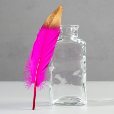 A set of goose feathers 15-20 cm, 10 pcs, fuchsia with a golden tip