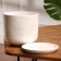 Flower Orion white pot 1.6 l