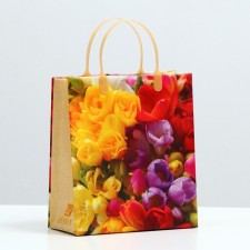 Package 