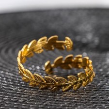 Ring for the napkin 