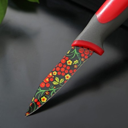 Kitchen knife with an anti -wagoning coating of the Dilan "Russian Disor", blade 8 cm-1
