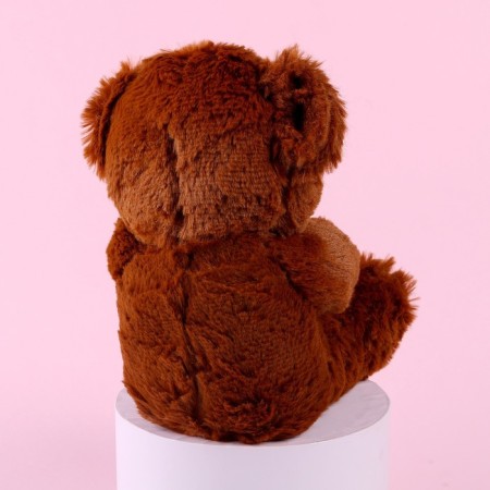 Soft toy "You have such a nyash", 25 cm, mix-3