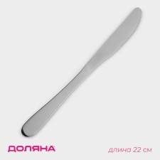 A table knife made of corrosion-resistant steel of the “Town” shares, length 22 cm