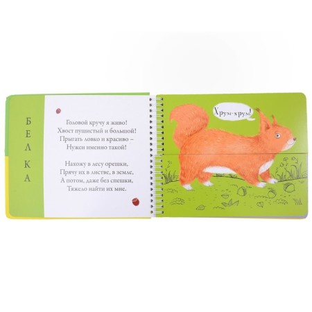 Book of Crane "Forest Animals"-2