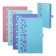 The Carthetele folder on the A4 button, Erichkrause "Diagonal Pastel", with 4 departments, plastic, mix