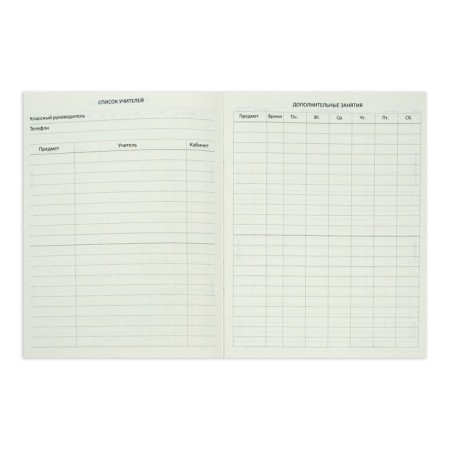 Universal diary for grade 1-11 Croco Feel Inspired, solid cover, artificial leather, foil embossing, liesse, 48 sheets-8