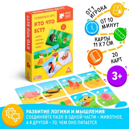 Board game "Find a couple. Who eats what? ", 40 elements, 3+