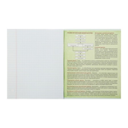 Subject subject call "Neon", 48 sheets in a biology cage, with reference material, cover coated cardboard, uf-lax, block offset-2