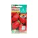 Seeds Tomat "Red Moscow", central/p, 0.1 g