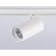 LED track track for the Magnetic Ambrella Track System GL3845, 30W, LED, white color, white