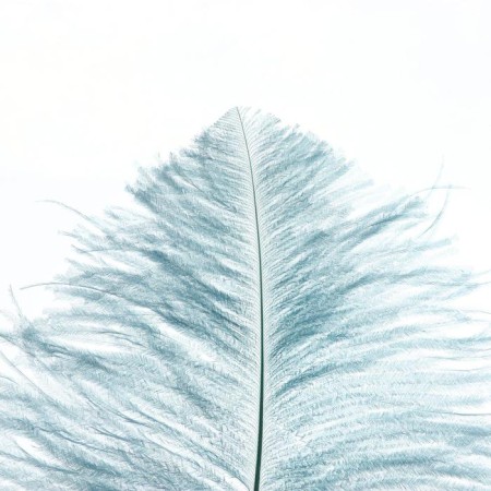 A pen for decor, length from 45 to 60 cm, color is powdered-1