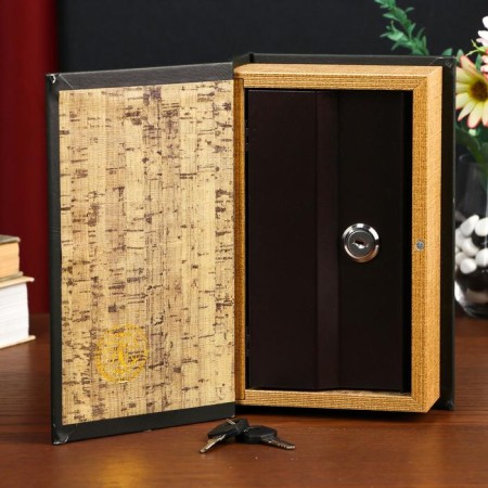 Safe box book "History of my success" embossing 21x13x5 cm-3